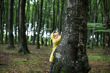 The girl is hiding behind a big tree in the spring forest