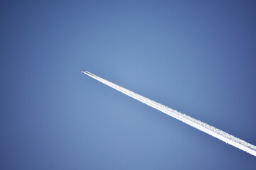 Fly
