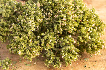 Fototapeta na wymiar Dried oregano close up, a sprig of dry oregano, spice, aromatic herb