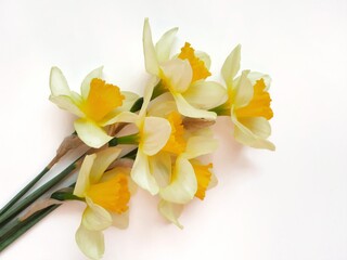 bouquet of yellow flowers on white background 