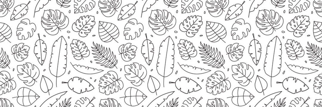 Palm leaf line vector seamless pattern, exotic floral background, tropical foliage leaves texture. Nature black and white outline print. Plant illustration © Sylfida