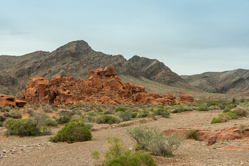Overton, Nevada, USA - March 11, 2016: Valley of Fire. Landscape with sharp edged red rock range dividing gray cloudscape from dry desert floor covered in green bushes.