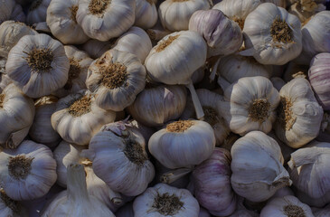 Many Bulbs of Garlic on a Street Market. Natural Food Background.