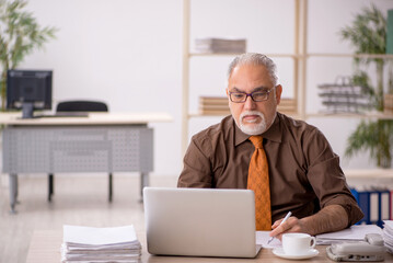 Old male employee working at workplace