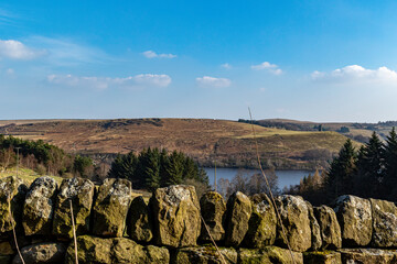 landscape with a lake