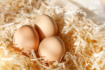 Three  fresh brown chicken eggs in a line in the straw. Eggs are placed on sawdust.