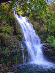 waterfall in the forest