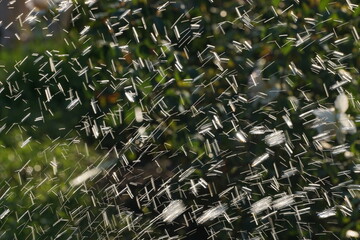 electric lights of water drops