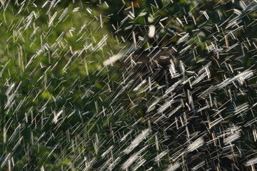 electric lights of water drops