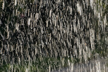water