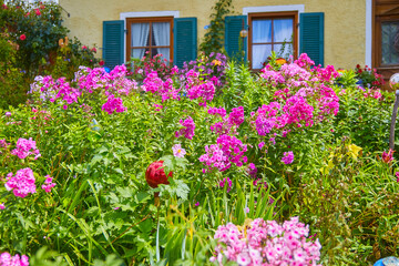 Fototapeta na wymiar Beautifully maintained farmhouse garden with colorful flowers, in Bavaria, Southern Germany. Detail.