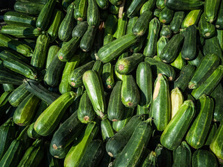courgette, zucchini or squash to prepare food