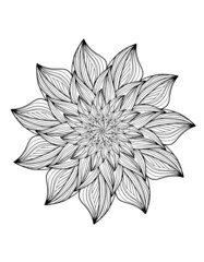 black and white flower