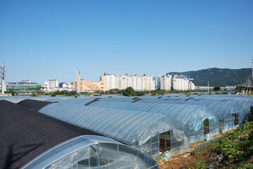 vinyl greenhouse in a rural village.
