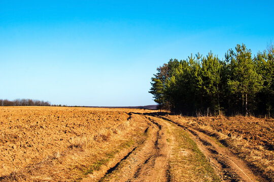 Countryside road and forest near cultivated agricultural land on a nice day during springtime with blue sky in the background