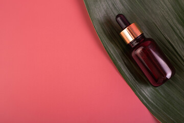 glass brown bottle with pipette with essential oil on a pink background with green tropical leaves  top view. Aromatic cosmetic product for skin and hair care Moisturizing beauty product with organic.
