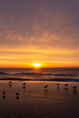 golden morning sunset on the summer sea beach