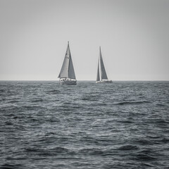 Fototapeta premium Sail boat in the ocean