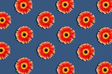 Fototapeta na wymiar Abstract floral background. Colorful apricot flower buds on blue background. Beautiful flowers