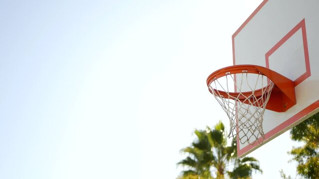 Orange hoop, net and backboard for basket ball game outside, basketball court outdoors. Recreational sport equipment on streetball field or playground. Blue sky and beach palm trees, California USA.