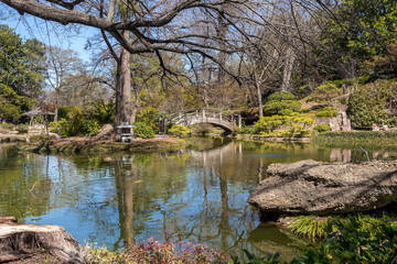 Fototapeta na wymiar Beautiful pond reflection and a bridge over water in springtime