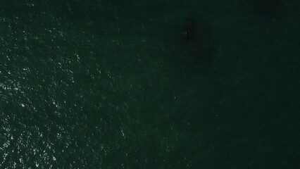 tilt shot from drone from the ocean with failure due to overload or overexertion of the drone's camera gimbal.