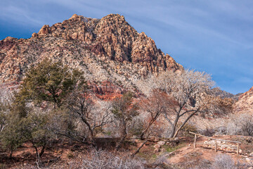 Las Vegas, Nevada, USA - February 23, 2010: Red Rock Canyon Conservation Area. Trees in front of tall brown rocky peak under blue cloudscape. Dry bushes and old wooden pasture gate.