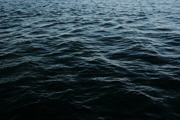 Sydney harbour ocean