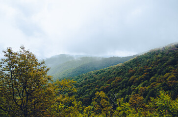 North Carolina mountains
