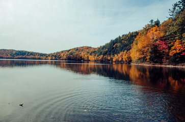 Fall in Vermont