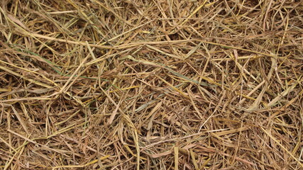 Straw texture is suitable as wallpaper or background