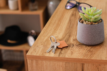 Keys from house with houseplant on wooden table in room