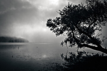 Dreamy Gloomy Morning