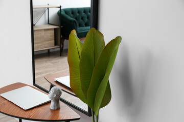 Table with laptop, mirror and palm leaves near wall in room