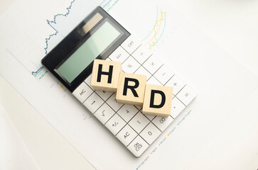 Word HRD made with wood building blocks,stock image