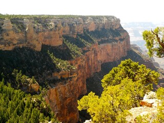 On the South Rim