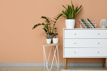 Chest of drawers with books, table and houseplants near beige wall