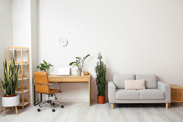 Interior of light living room with grey sofa, modern workplace and houseplants