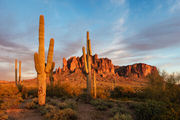 The Superstition Mountains with Saguaro Cactus at sunset