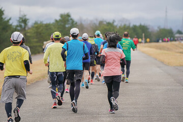 group of people walking in the park