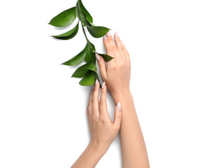 Fototapeta na wymiar Female hands with beautiful manicure and plant branch on white background