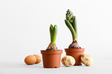 Pots with beautiful hyacinth plants and Easter eggs on light background
