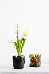 Pot with beautiful hyacinth plant and Easter eggs on light background