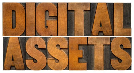 digital assets - isolated word abstract in vintage letterpress wood type, information, business and technology concept.
