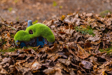 Adorable little green and blue house with mossy roof surrounded by leaves in fall.