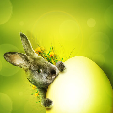 Ostern Kollage mit Osterhase