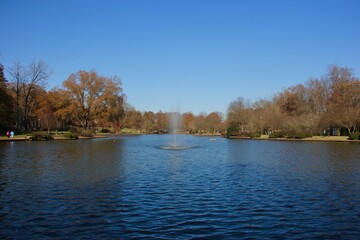 The Queen City - Charlotte, NC