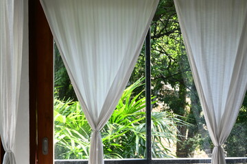 curtain in the room with natural background