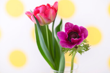 チューリップ　アネモネ　水玉