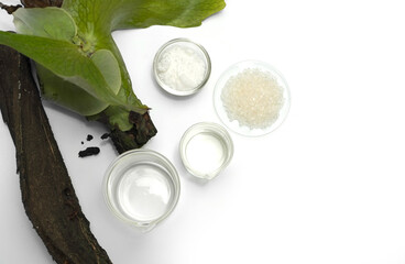 Spa products are beautifully arranged near Platycerium stemaria ferns on white table. Cetyl esters wax in glass container, Bath crystal in chemical watch glass and oil in beaker. Top view
